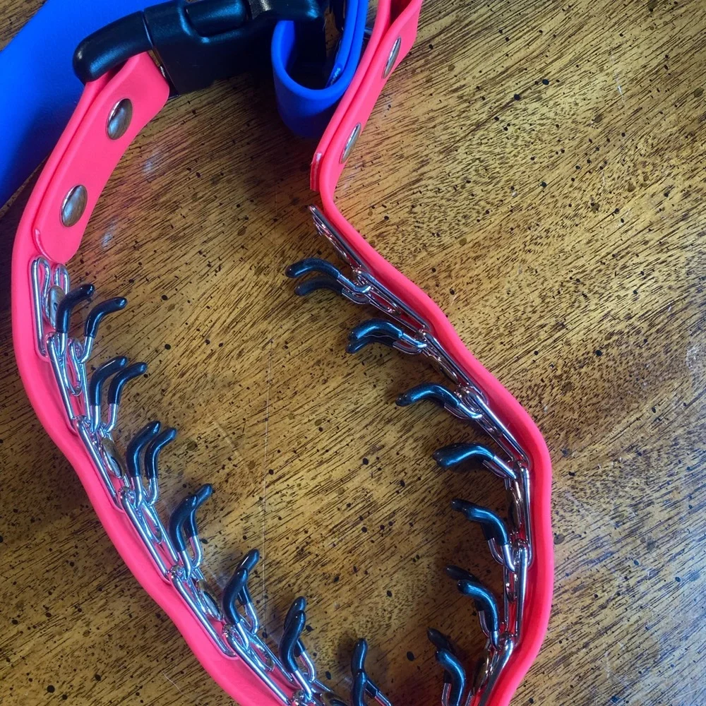 Prong Training Collar with attached leash